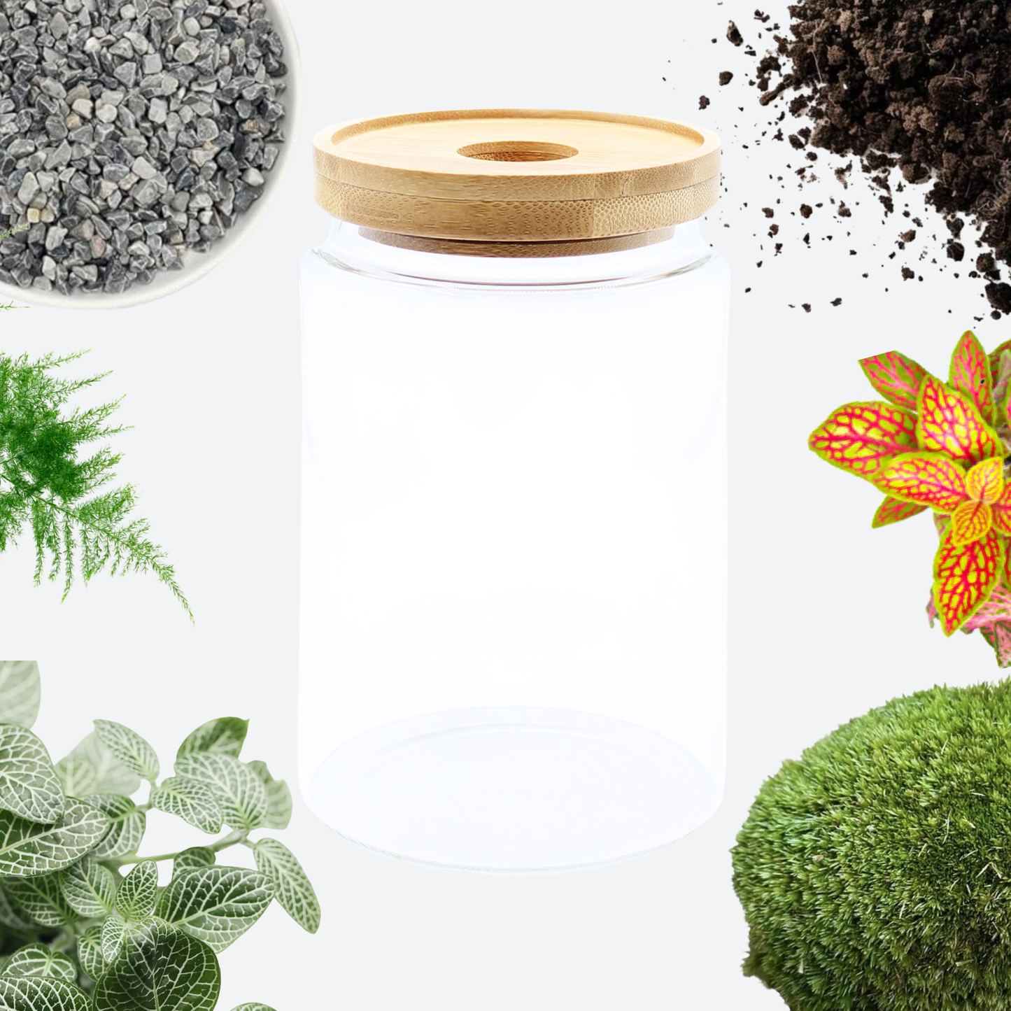 Terrarium DIY Kit - Bamboo Lid