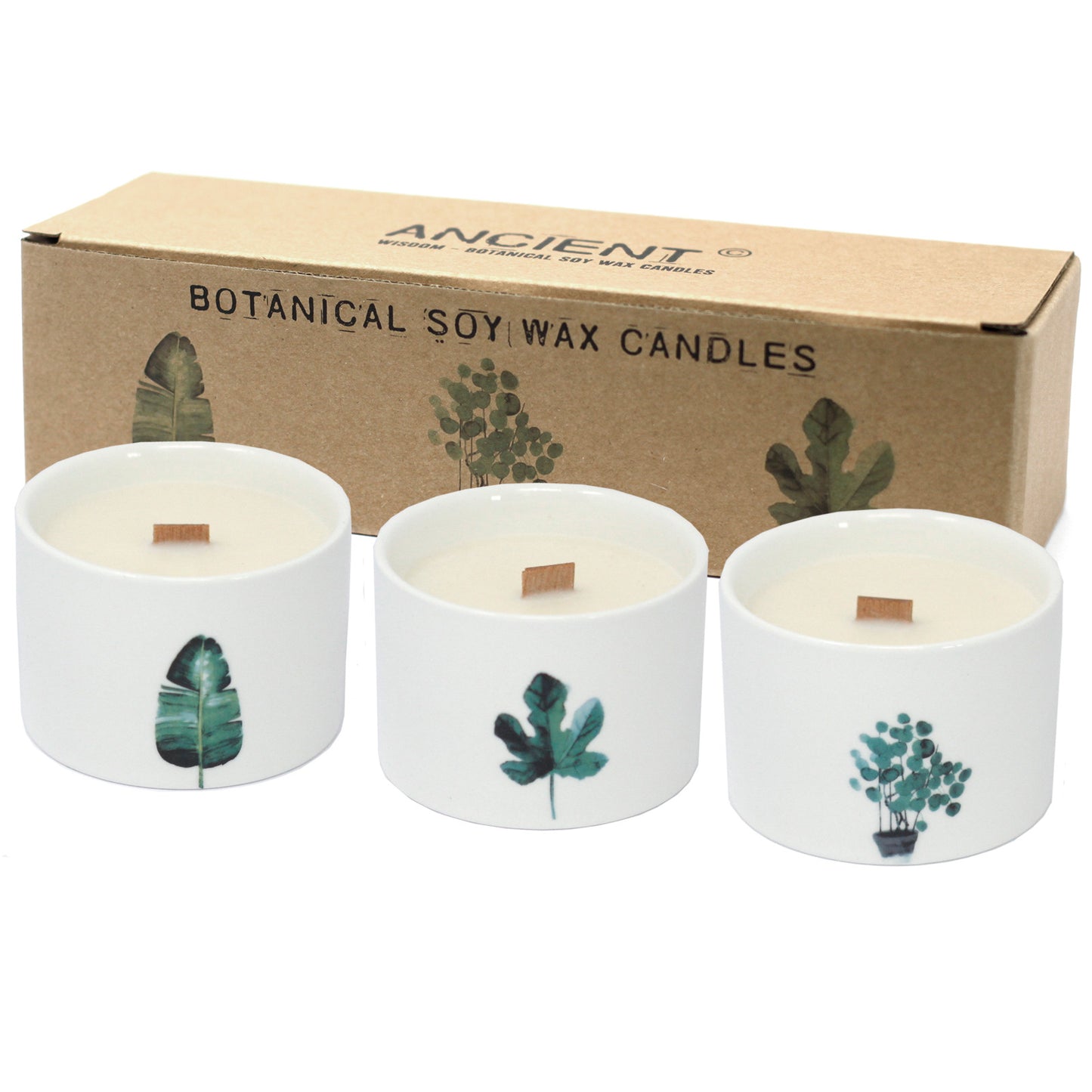 Botanical Candles - Wooden Wick