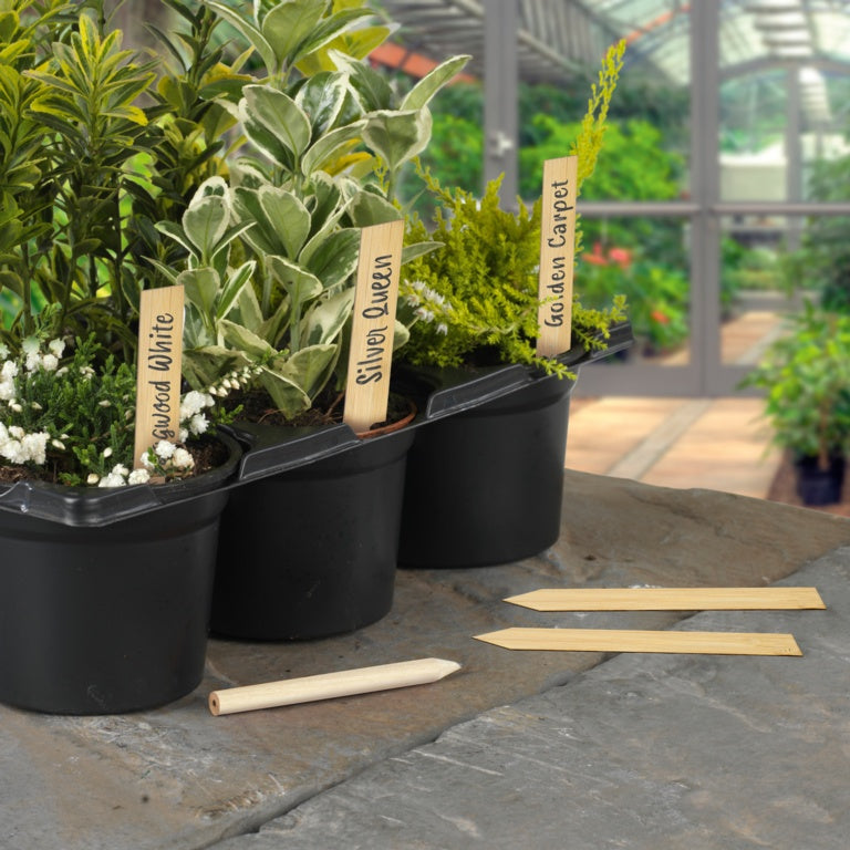 Bamboo Plant Labels & Pencil