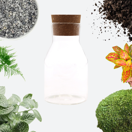 Small Cottage Terrarium DIY Kit - Cork Lid