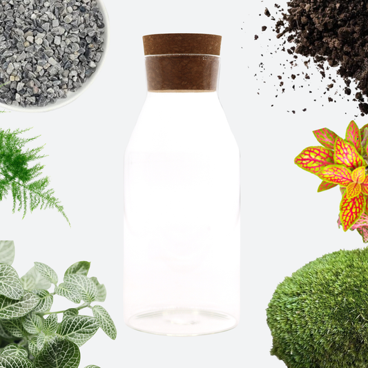 Cottage Terrarium DIY Kit - Cork Lid