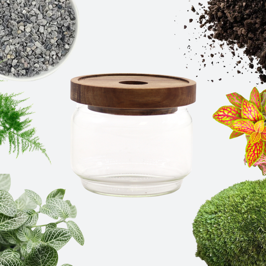 Mini Terrarium DIY Kit - Bamboo Lid