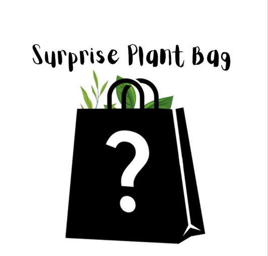 Surprise - Plant Grab Bags