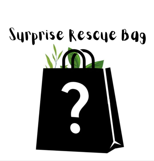 Surprise - Rescue Plant Bag