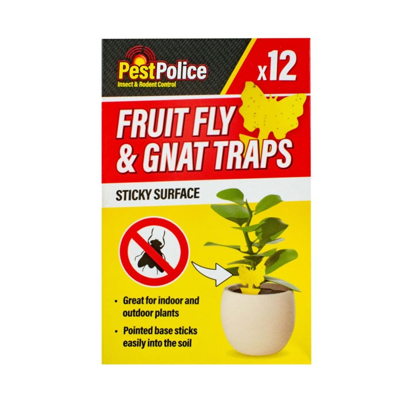 Fruit Fly & Gnat Trap Stickers