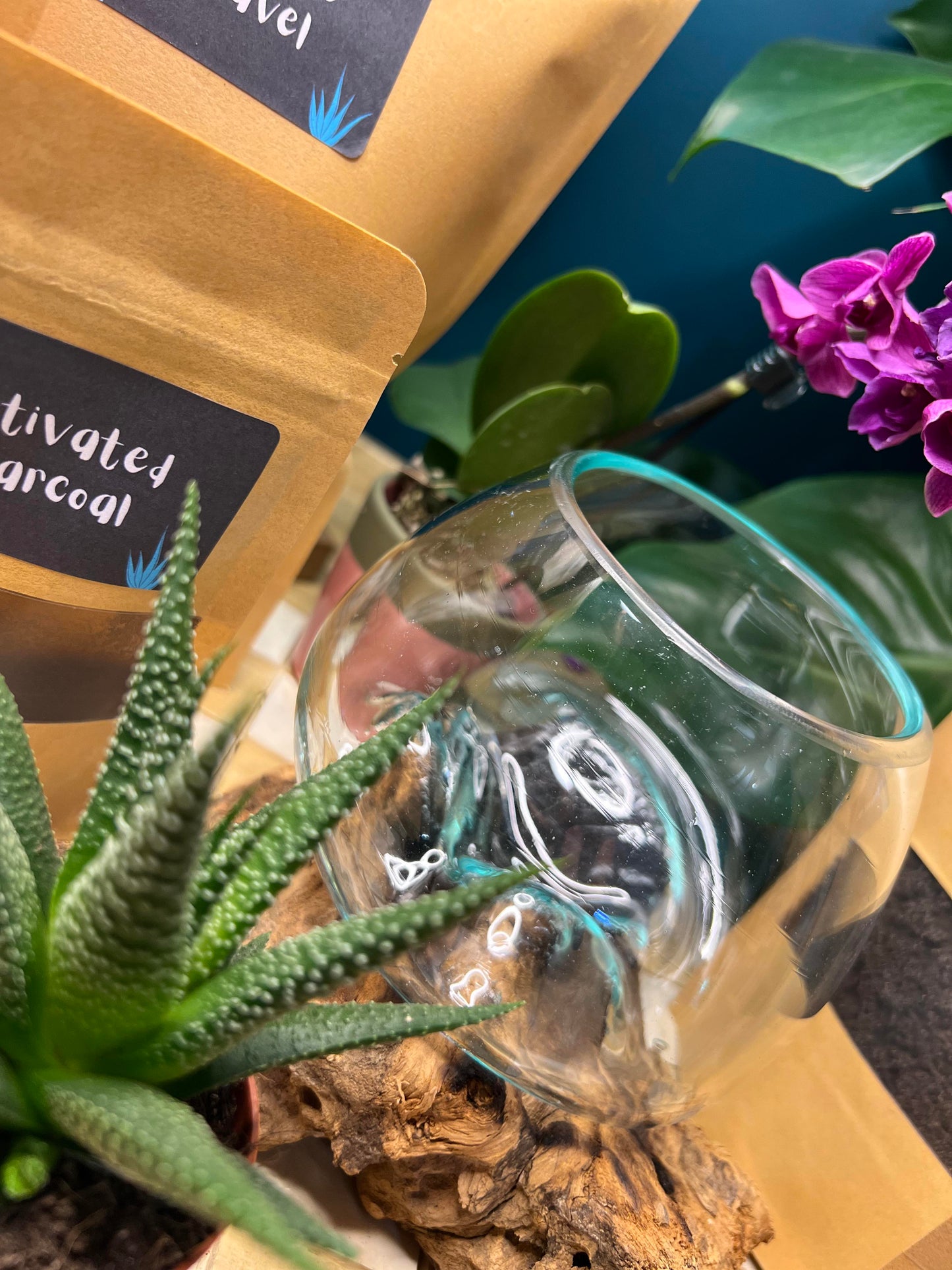 Small Molten Glass On Wood Terrarium, DIY Kit 1 (Plants, Gravel, Deco & Tools Included)