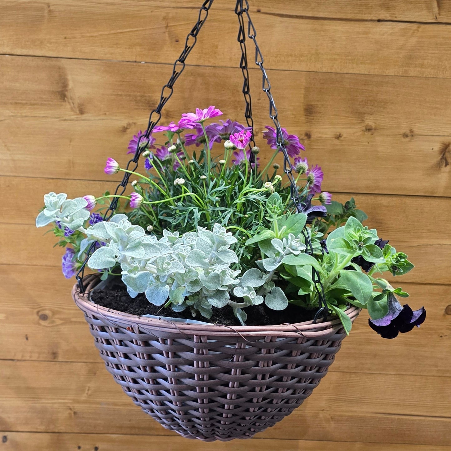 Hanging Baskets β Complete Kit - 12" or 14"