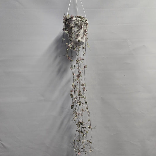 Hanging - String of Hearts Variegated