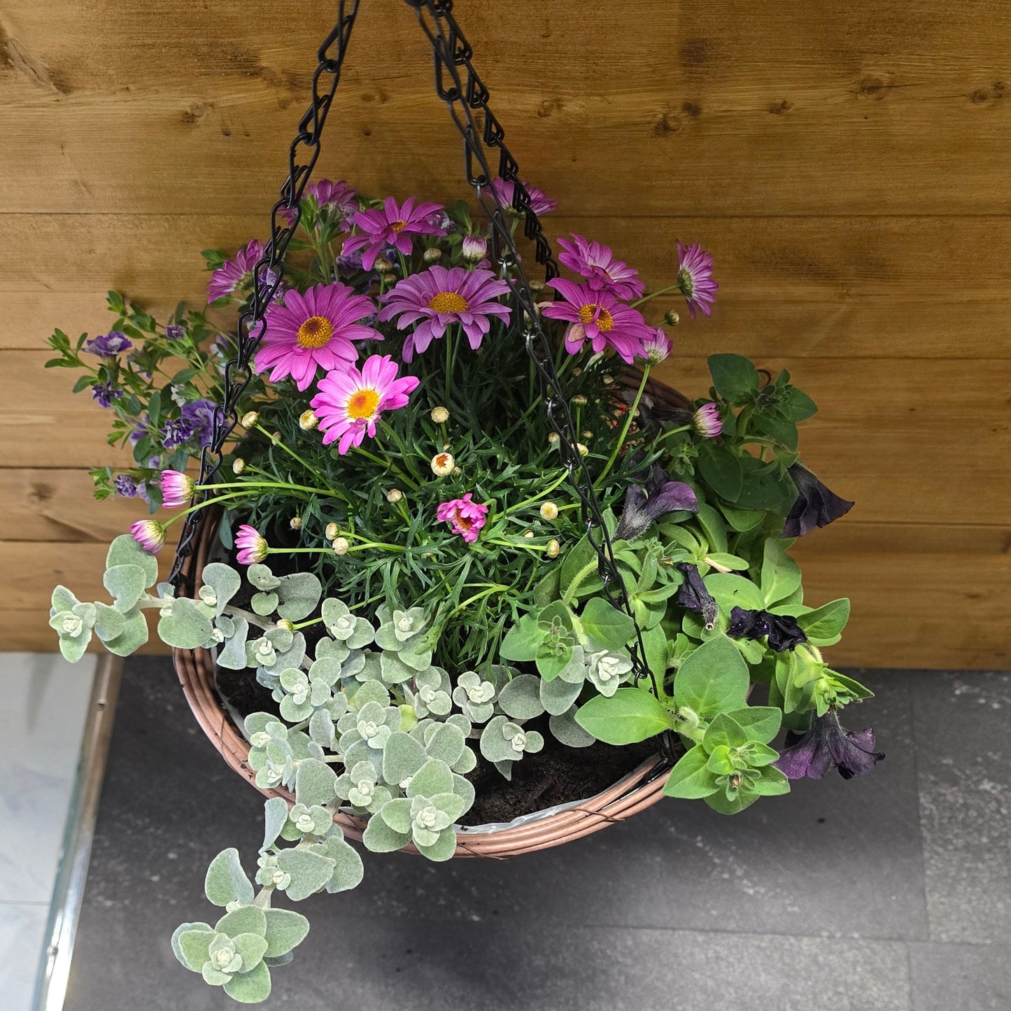 Hanging Baskets β Complete Kit - 12" or 14"