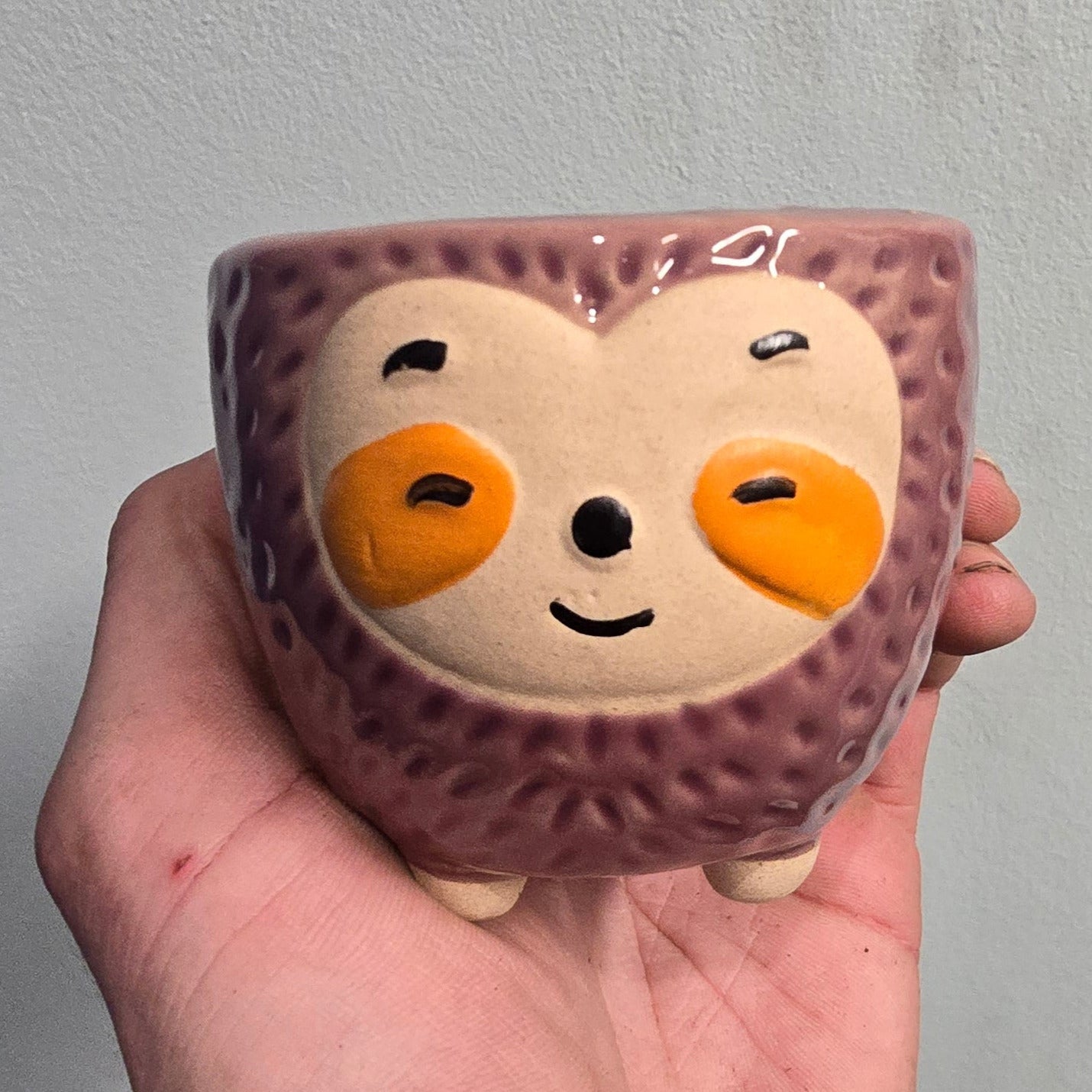 Animal Face Pots