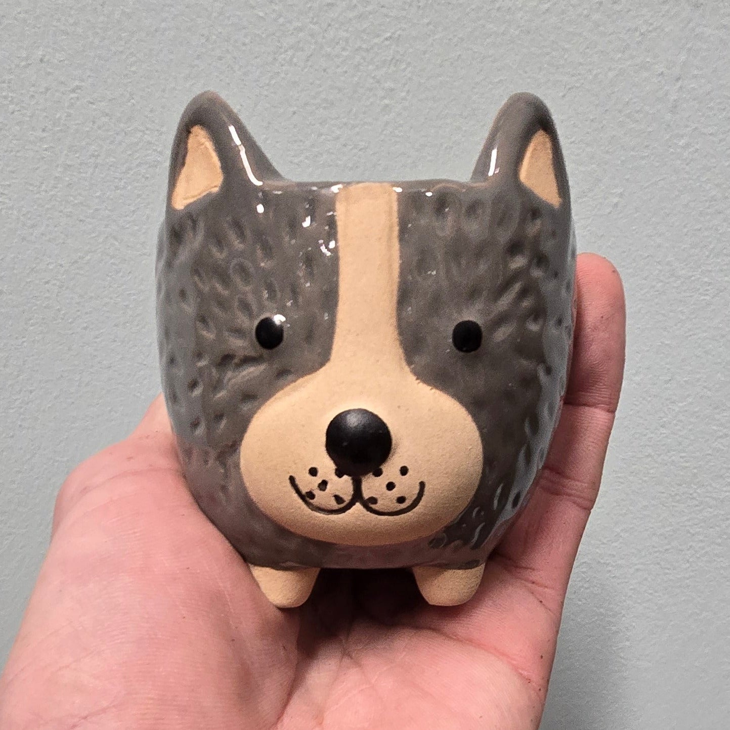 Animal Face Pots