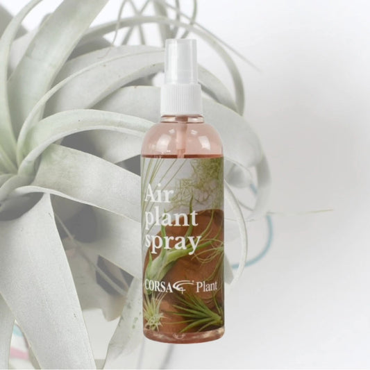 Corsa - Air Plant Spray