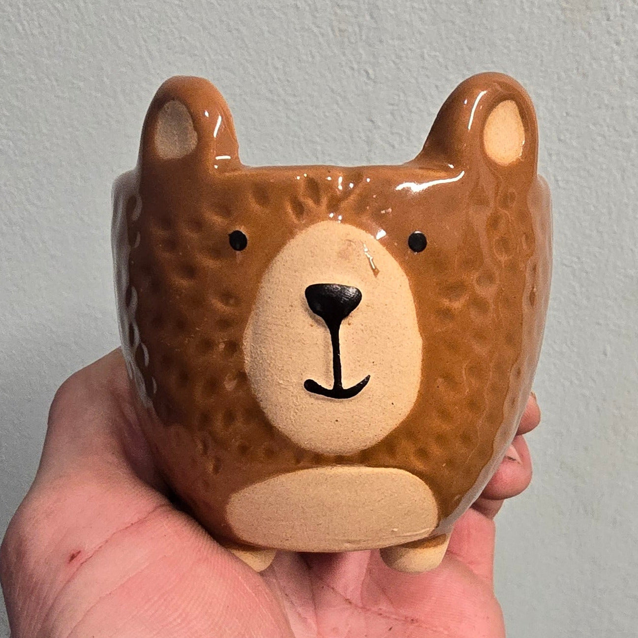 Animal Face Pots