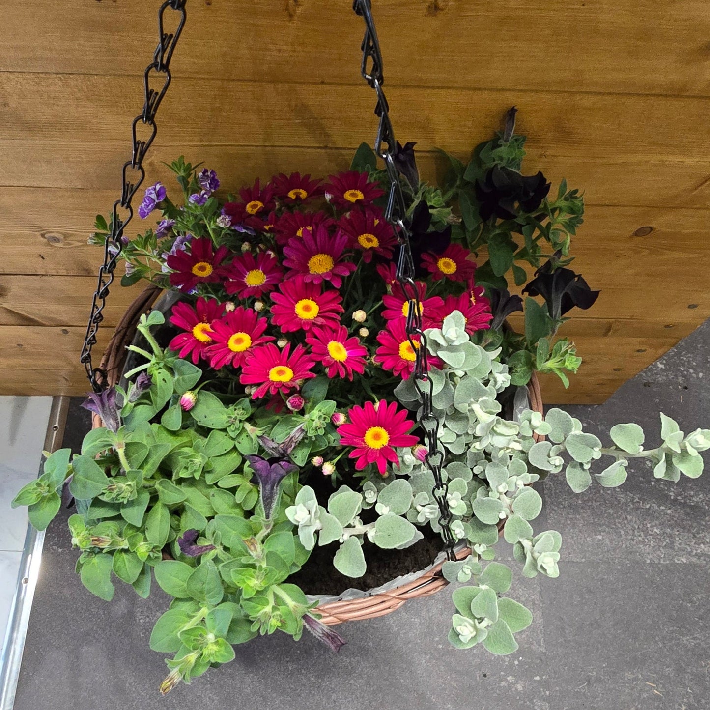 Hanging Baskets β Complete Kit - 12" or 14"