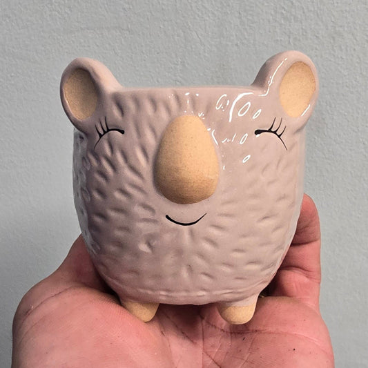 Animal Face Pots