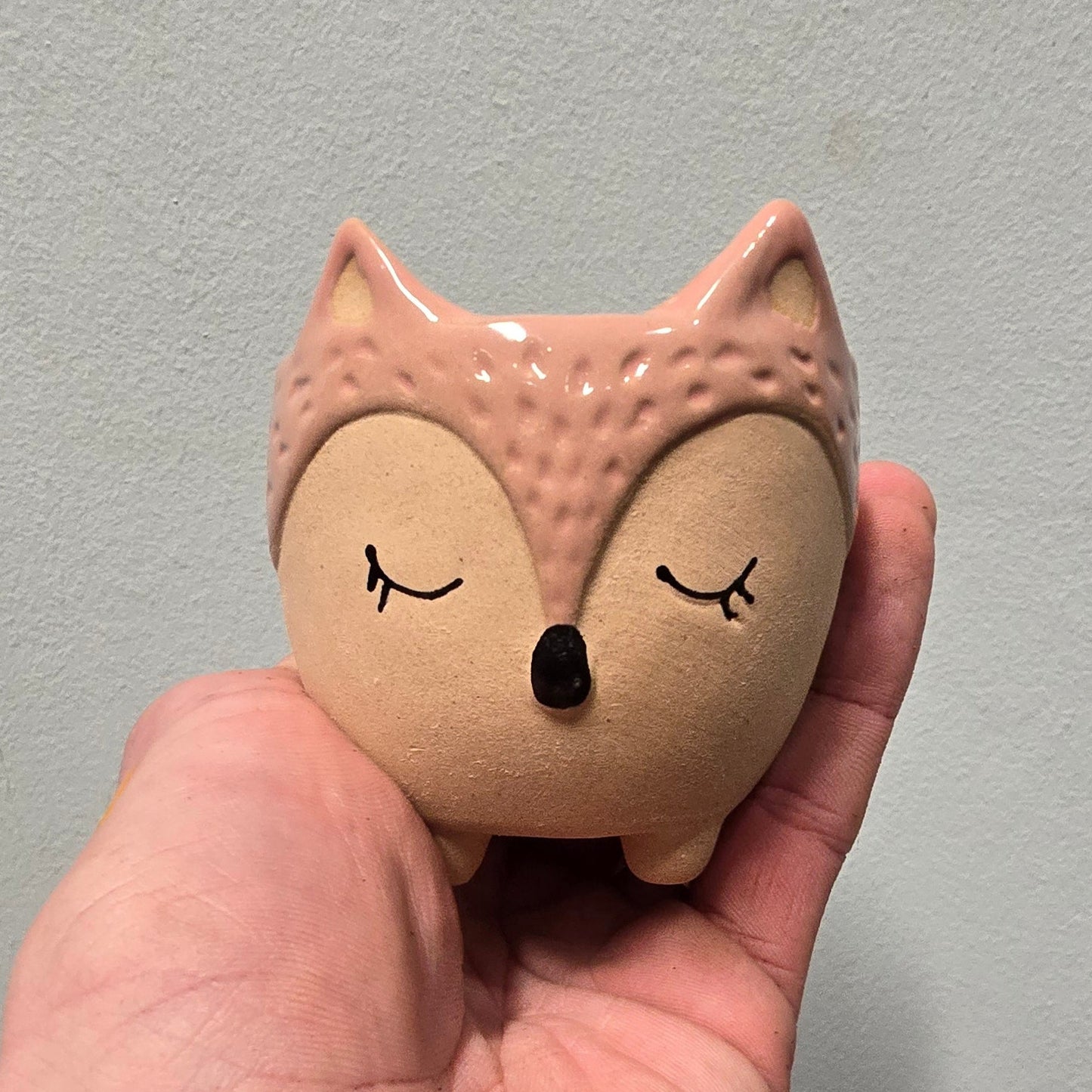 Animal Face Pots