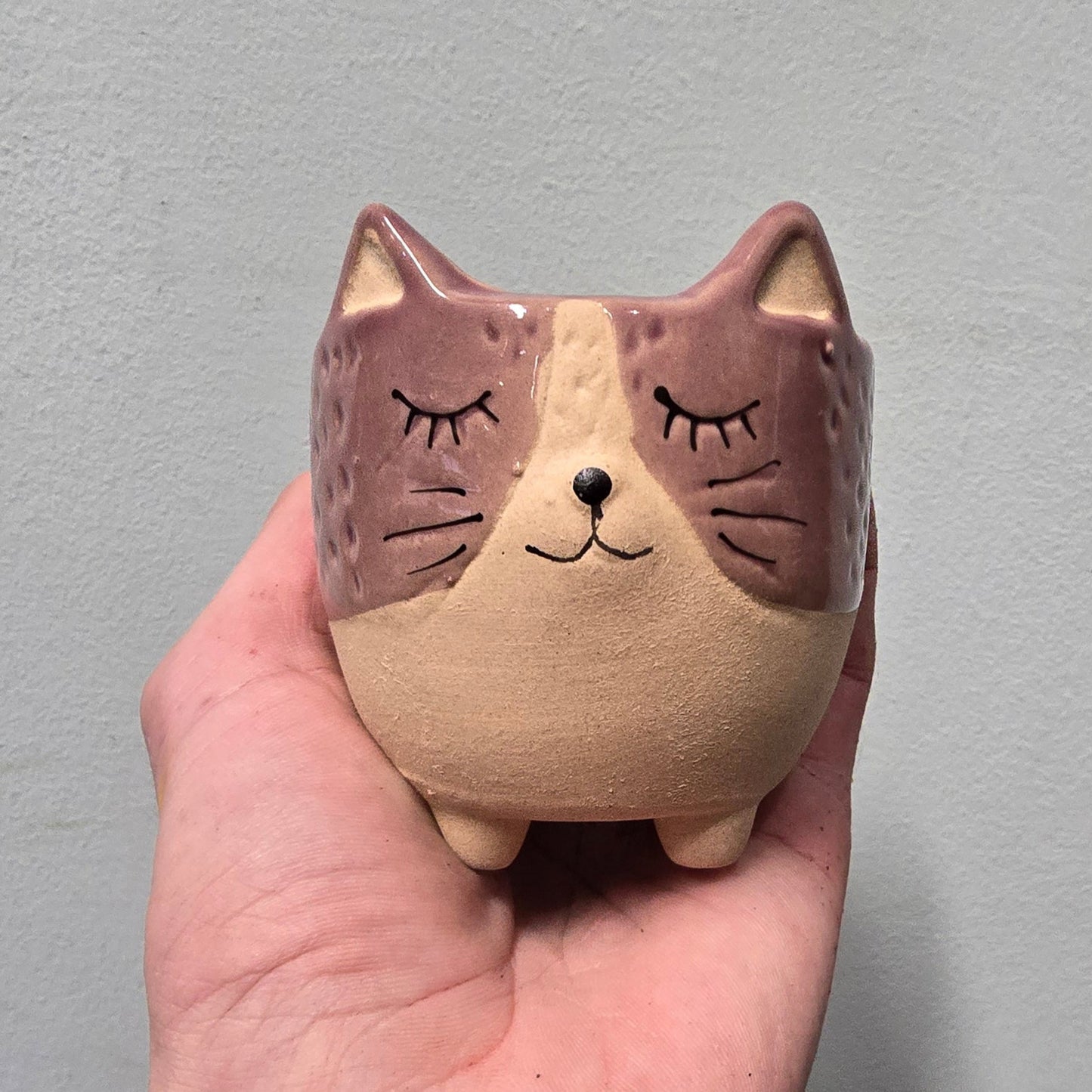 Animal Face Pots