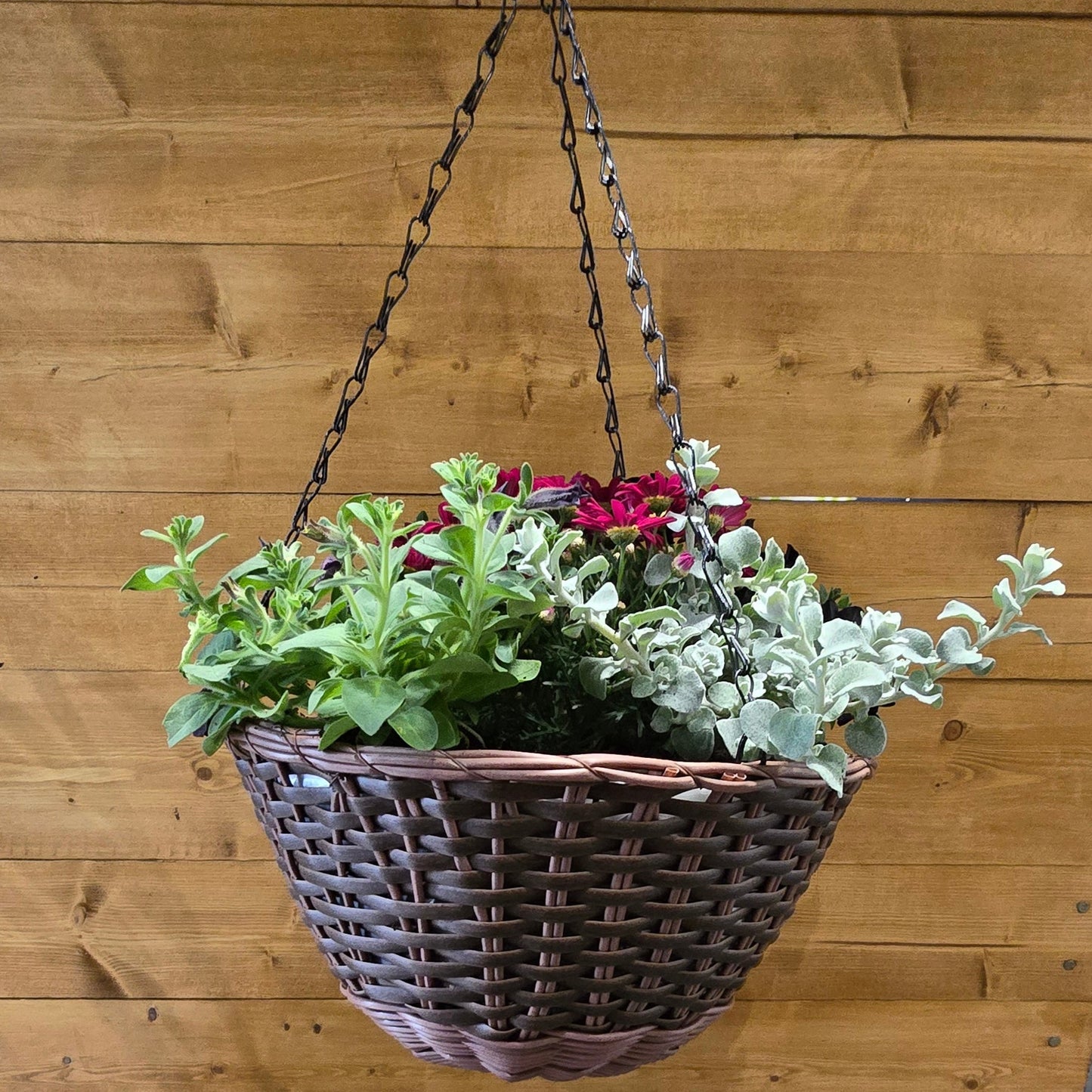 Hanging Baskets β Complete Kit - 12" or 14"