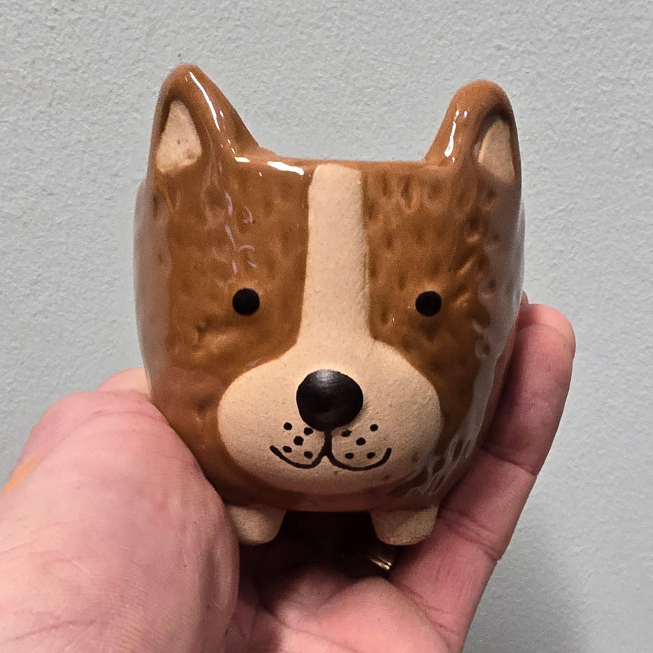 Animal Face Pots