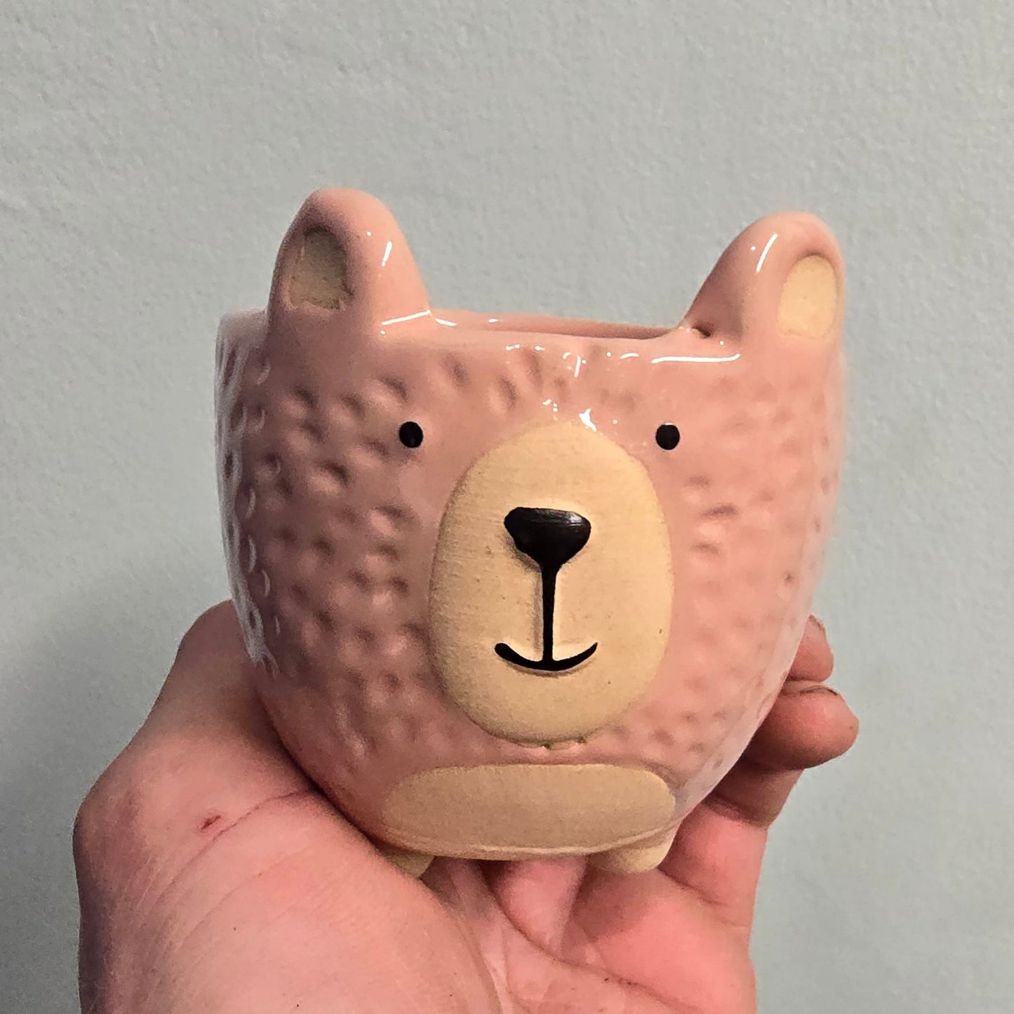 Animal Face Pots