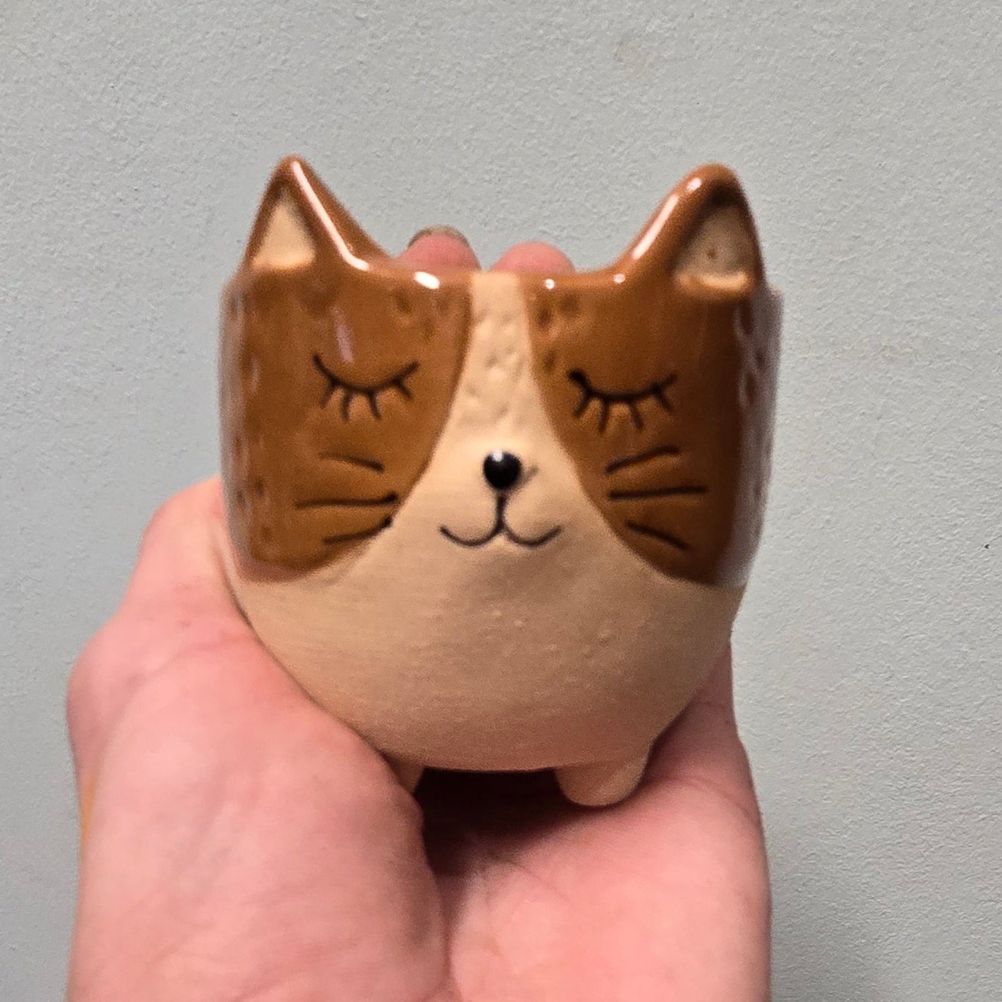 Animal Face Pots