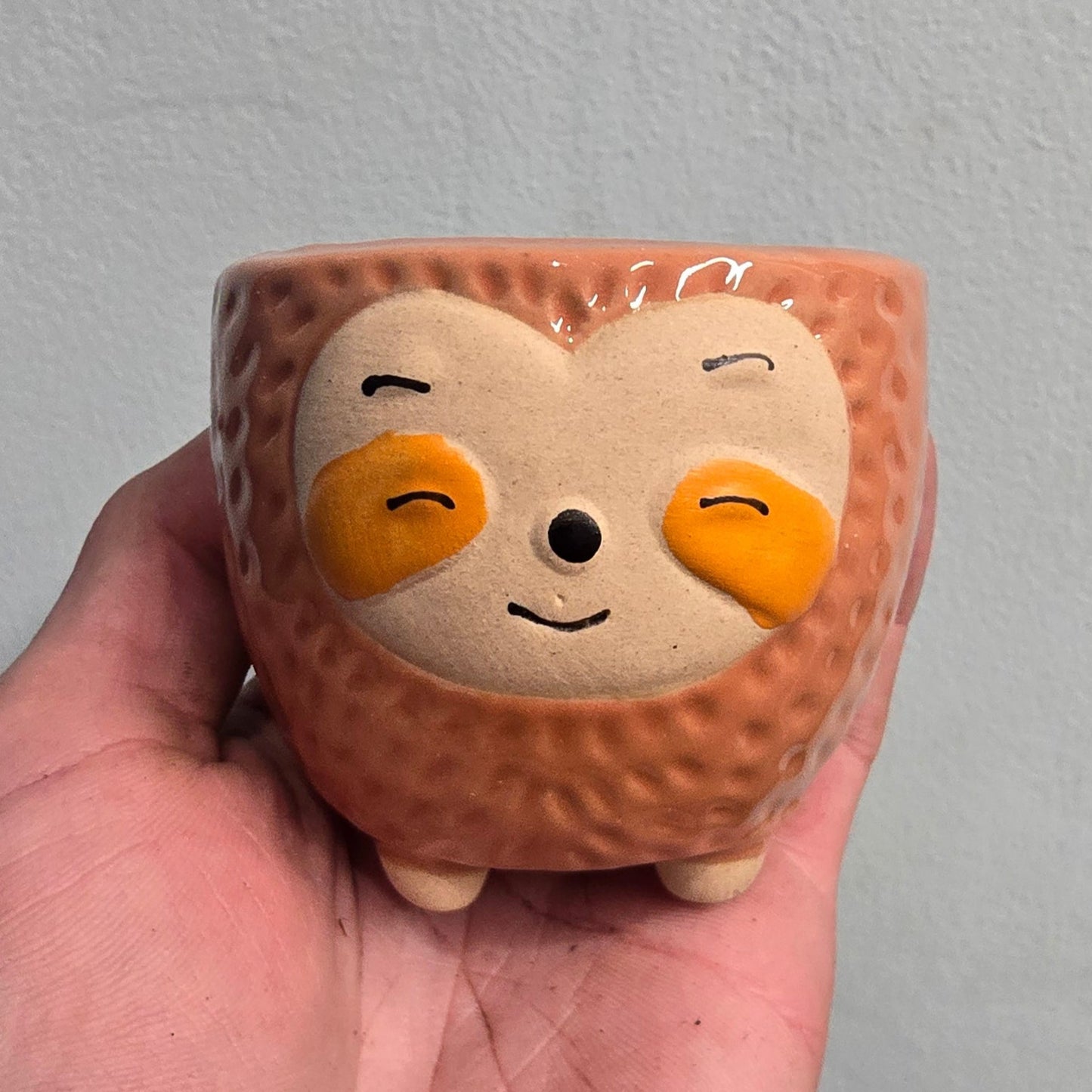 Animal Face Pots
