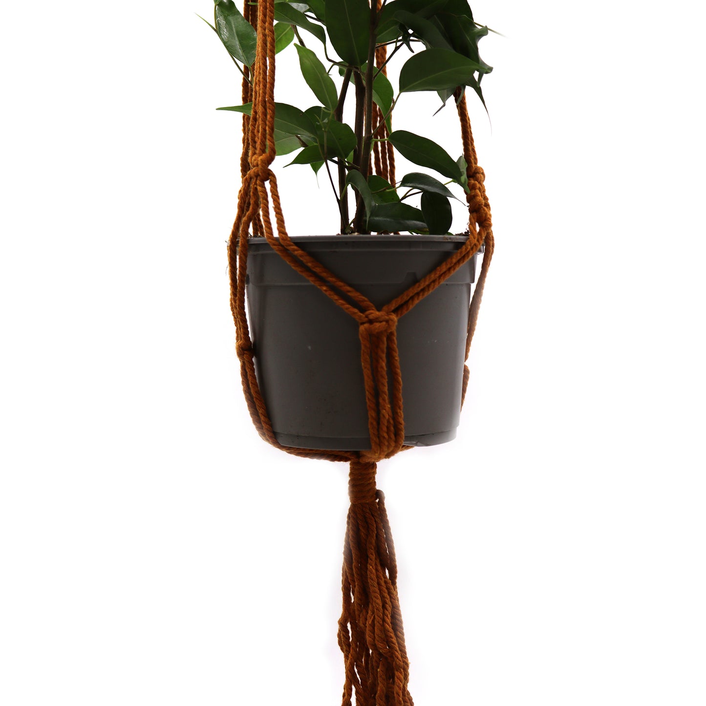 Hanging Macrame Pot Holders