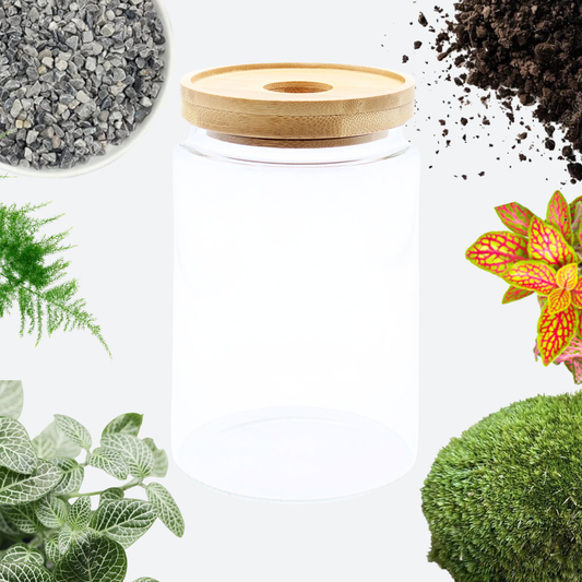 Terrarium DIY Kit - Bamboo Lid