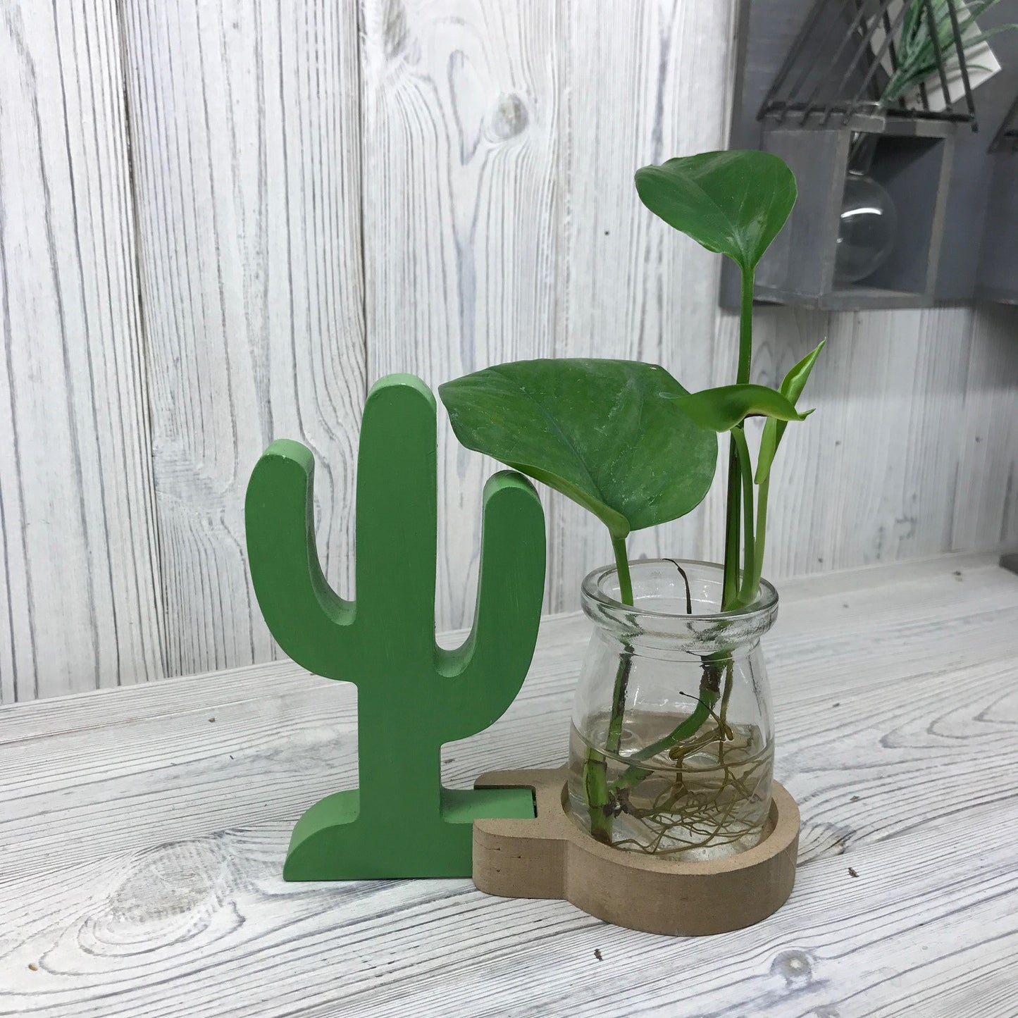 Plant & Propagation Jar