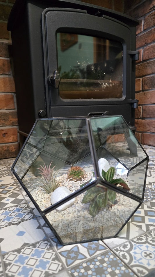 Geometric Glass Terrarium Kit 1 (Plants, Gravel, Deco & Tools Included)