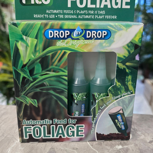 Houseplants Drip Feeds