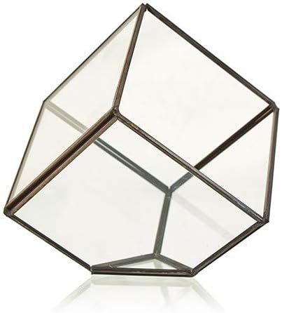 Geometric terrariums (EMPTY VASES)