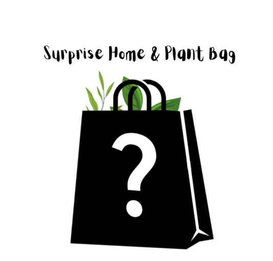 Surprise - Plant & Home Grab Bags