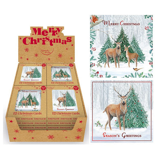 12 Pack Christmas Cards - 2 X Designs