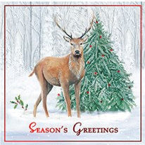 12 Pack Christmas Cards - 2 X Designs