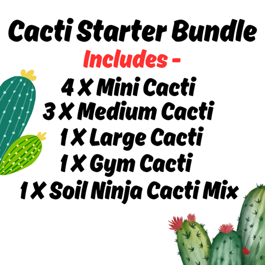 (Auction) Cacti Starter Bundle