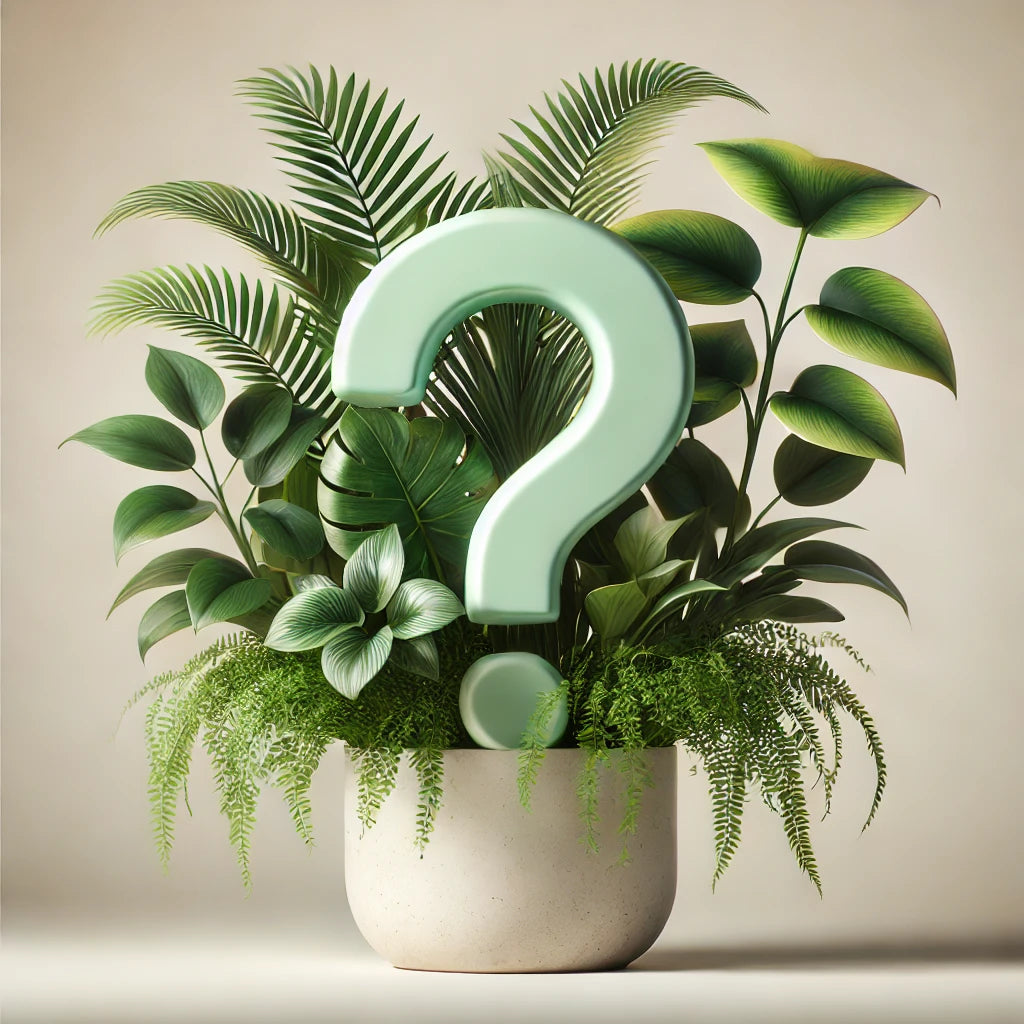 Mystery Plant Bundle