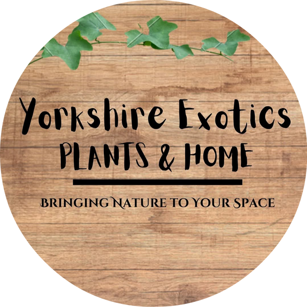 Yorkshire Exotic Plants