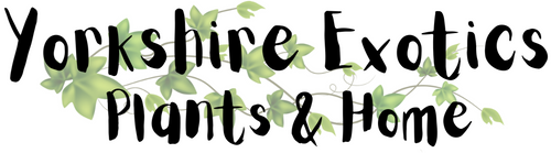 Yorkshire Exotic Plants