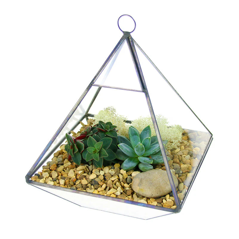 Geometric terrariums (EMPTY VASES)