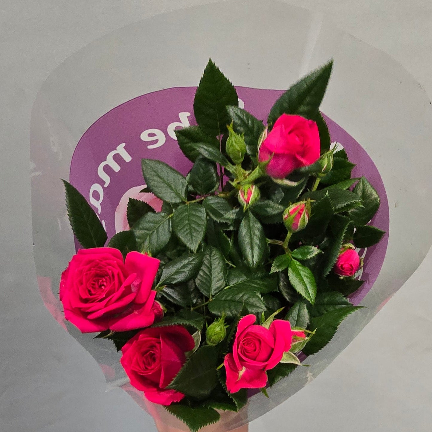 Palace Roses In Or Outdoors - Mix