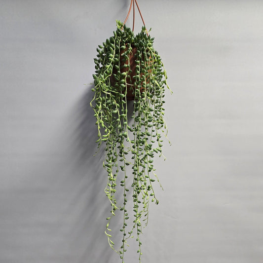 Hanging - String Of Tears