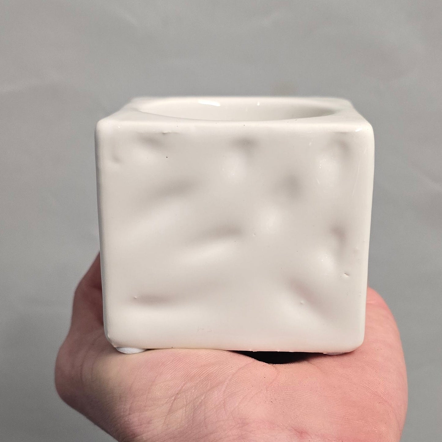 Mini Succulent & Ceramic Pots - Mixed