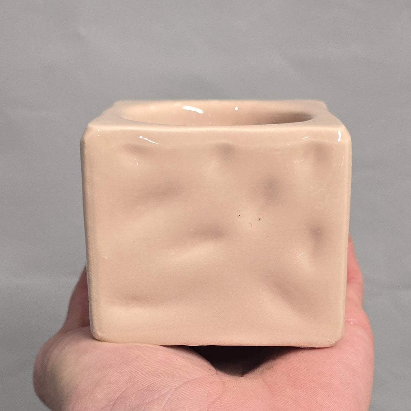 Mini Succulent & Ceramic Pots - Mixed