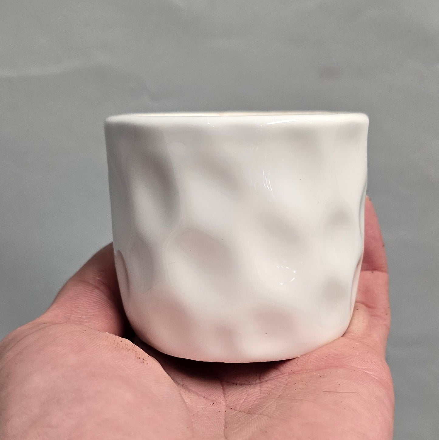 Mini Succulent & Ceramic Pots - Mixed