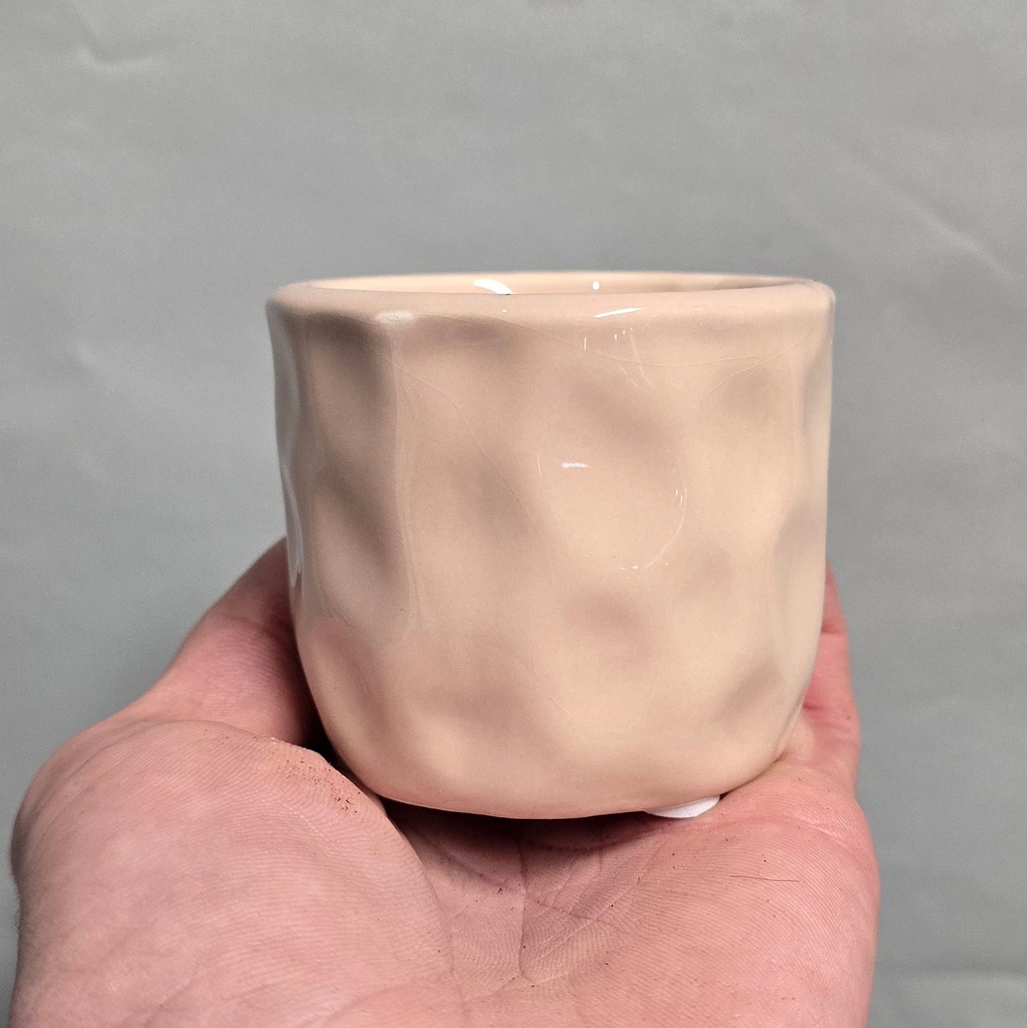 Mini Succulent & Ceramic Pots - Mixed